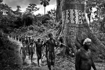 Amazonie : la dernière bataille des Yanomami