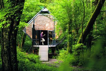 Amours en forêt, de la théorie à la pratique
