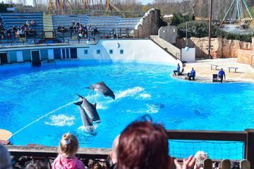 Après 32 ans de spectacles, le Parc Astérix ferme son delphinarium