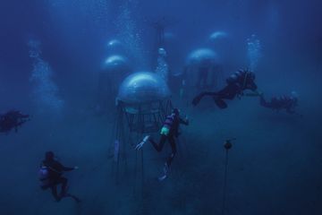Bienvenue dans les jardins de Nemo