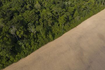 Brésil : Déforestation record en Amazonie depuis janvier
