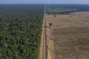 Brésil: malgré la pandémie, déforestation record de l'Amazonie au premier semestre