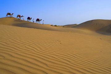 Comment l'Inde veut rentabiliser le désert grâce à l'énergie solaire