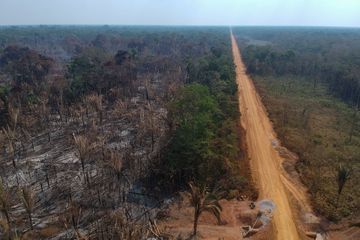 Déforestation record en avril en Amazonie, sous une «immense pression»