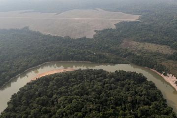 Déforestation très proche du niveau record en Amazonie