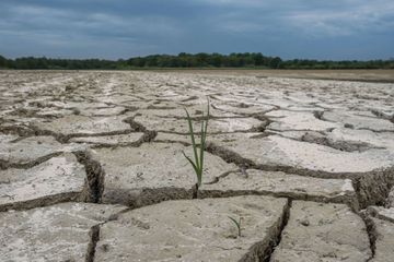 En France, la sécheresse inquiète