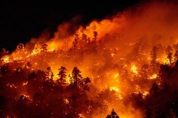 En images, le Sheep Fire dévore la forêt nationale d'Angeles