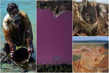 En images : Les catastrophe écologiques causées par l'homme en 2020
