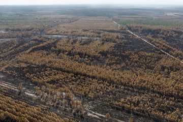 Feux de forêt: un été record de surfaces brûlées en Europe et particulièrement en France