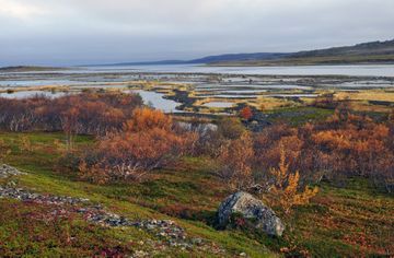 Fonte du permafrost : quand la terre se dégèle, la menace virale s'éveille
