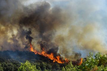 Incendie dans l'Hérault: le feu ne progresse plus après une nuit de lutte