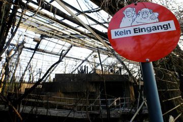 Incendie dans un zoo allemand : une mère et ses deux filles se dénoncent