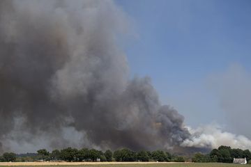 Incendie : la mythique forêt de Brocéliande flambe, deux avions suédois en action
