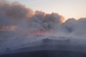 Incendies dans le Morbihan : 75 hectares ont brûlé, feux fixés dimanche matin