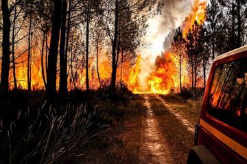 Incendies en Gironde : un acte criminel pourrait être à l'origine de l'un des feux