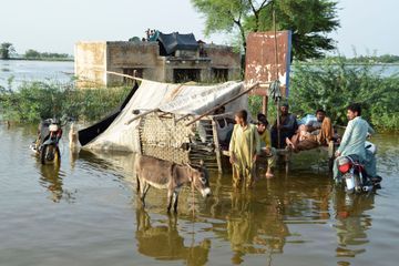 Inondations au Pakistan : le dernier bilan fait état de plus de 1000 morts