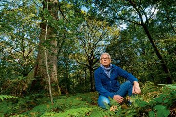 Jacques Rocher, au chevet des forêts