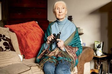 Jane Goodall : «J'ai la conviction absolue que tout peut changer»