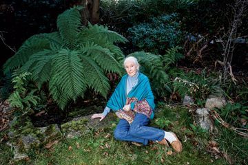 Jane Goodall, l'âme de la forêt