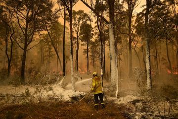 L'Australie se prépare à de nouveaux feux de forêt dévastateurs pour le week-end