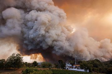 L'Italie face aux incendies et à la canicule : 16 villes en alerte rouge