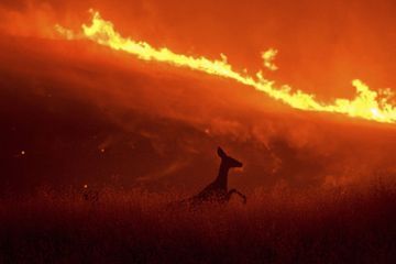 La Californie à nouveau dévastée par les flammes