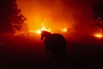 Nouvelles images du désastre en Californie, l'état d'urgence décrété