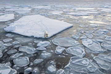 La fonte des glaces s'est fortement accélérée en trois décennies