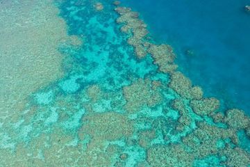 La Grande Barrière de corail ne figurera pas sur la liste du Patrimoine mondial en péril de l'Unesco