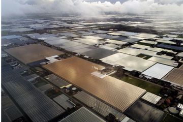 La Silicon Valley de l'agriculture