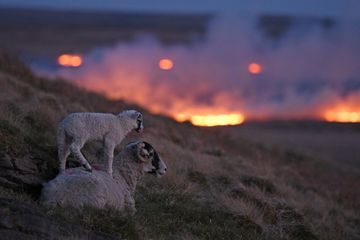 Les dramatiques images de l'incendie du domaine de Marsden Moor, en Angleterre