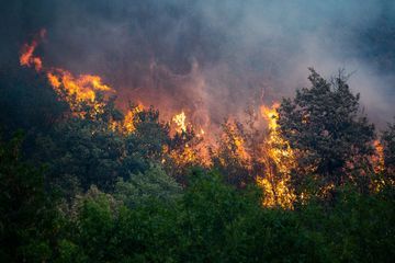 Les flammes ravagent l'Isère, déjà 90 hectares de forêt et de végétation détruits