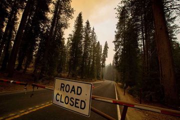 Les flammes sont aux portes de l'emblématique parc national de Sequoia