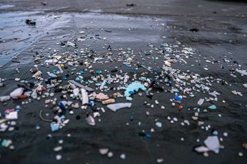 Les fonds marins jonchés de 14 millions de tonnes de microplastiques