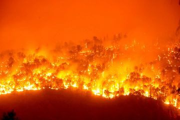 Les images dramatiques des sequoias géants de Californie, calcinés par le Windy Fire