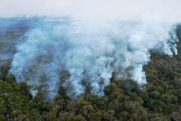 Les pompiers brésiliens dans l'enfer des incendies au Pantanal