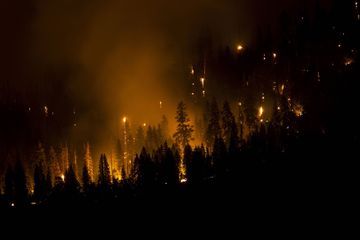 Les sequoias géants du Yosemite sont en flammes