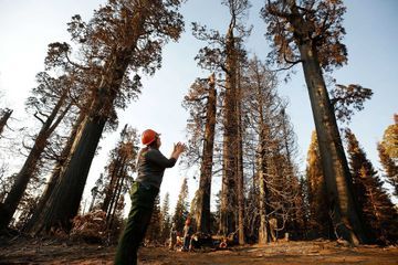 Los Angeles s'allie à Google pour lutter contre la chaleur