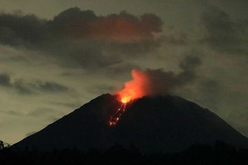 Nouvelle éruption du volcan Semeru, les secours suspendus