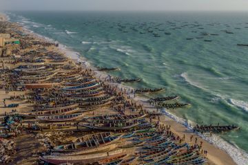 Surpêche : les images d'un désastre mondial