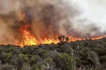 Tanzanie : incendie sur les flancs du Kilimandjaro