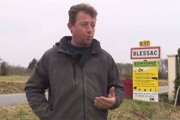 Un agriculteur appelle à tuer des loups, une enquête ouverte