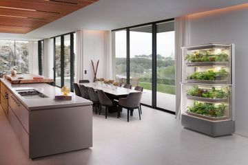 Un potager dans son salon
