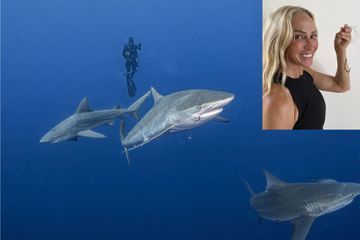 Une grand-mère sauve un requin en Floride