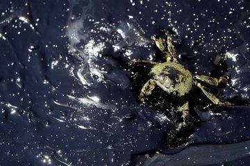 Une nappe de pétrole menace les côtes nord de Chypre