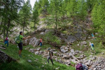 Boscodon, la forêt dont on ne revient pas