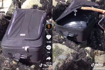 Dans la valise découverte par des ados... les cadavres d'un couple : un suspect arrêté