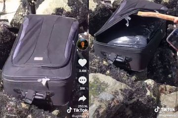Des ados se filment sur TikTok et découvrent une valise contenant des restes humains