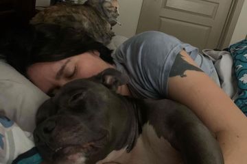 Etats-Unis : Une femme et son chien poignardés à mort, des lettres gravées sur son torse