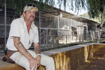 Sur Netflix, la folle histoire de Joe Exotic, le gardien de zoo qui voulait tuer sa rivale